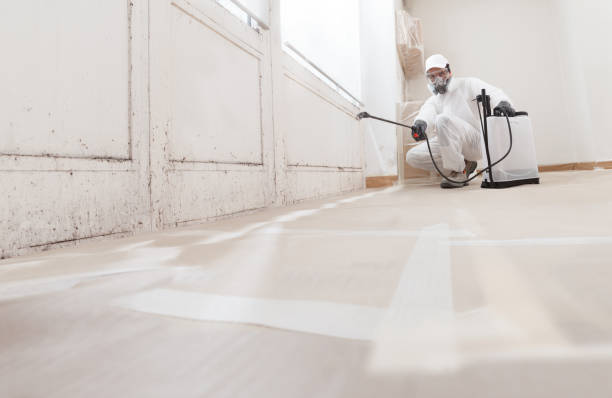 24/7 Emergency Mold Removal experts in Warrington, PA